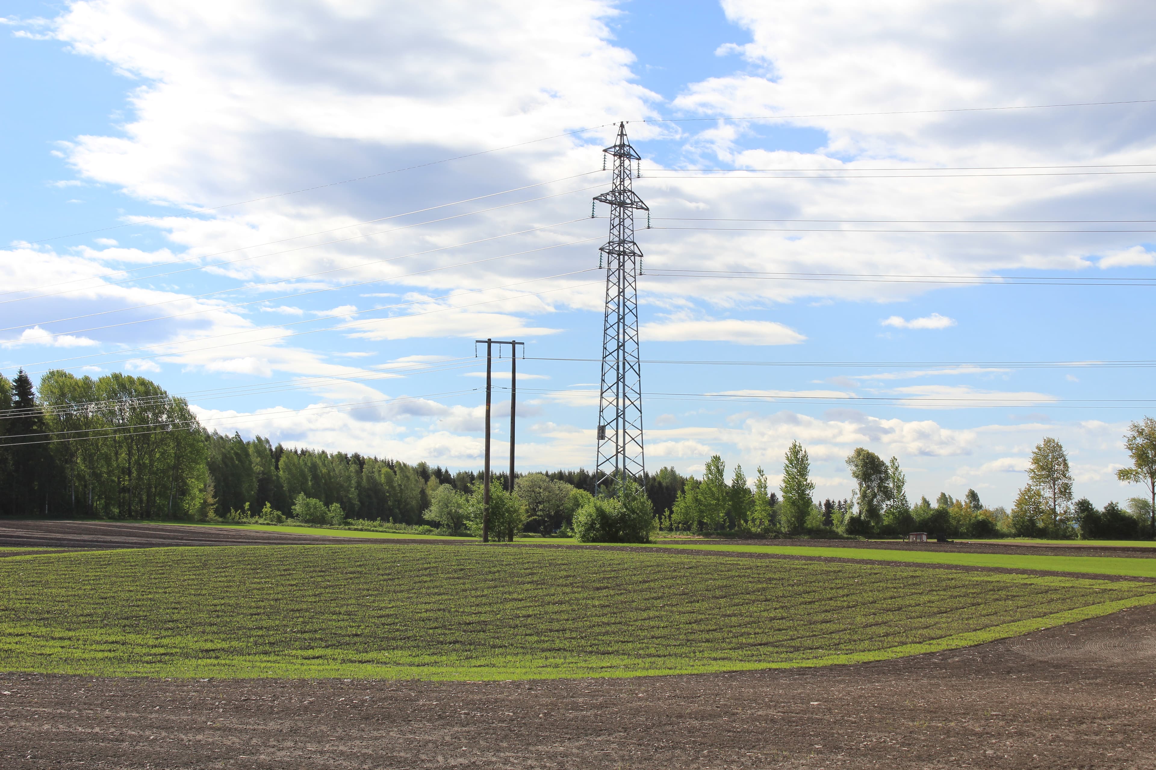 Høyspentmast i jordbrukslandskap