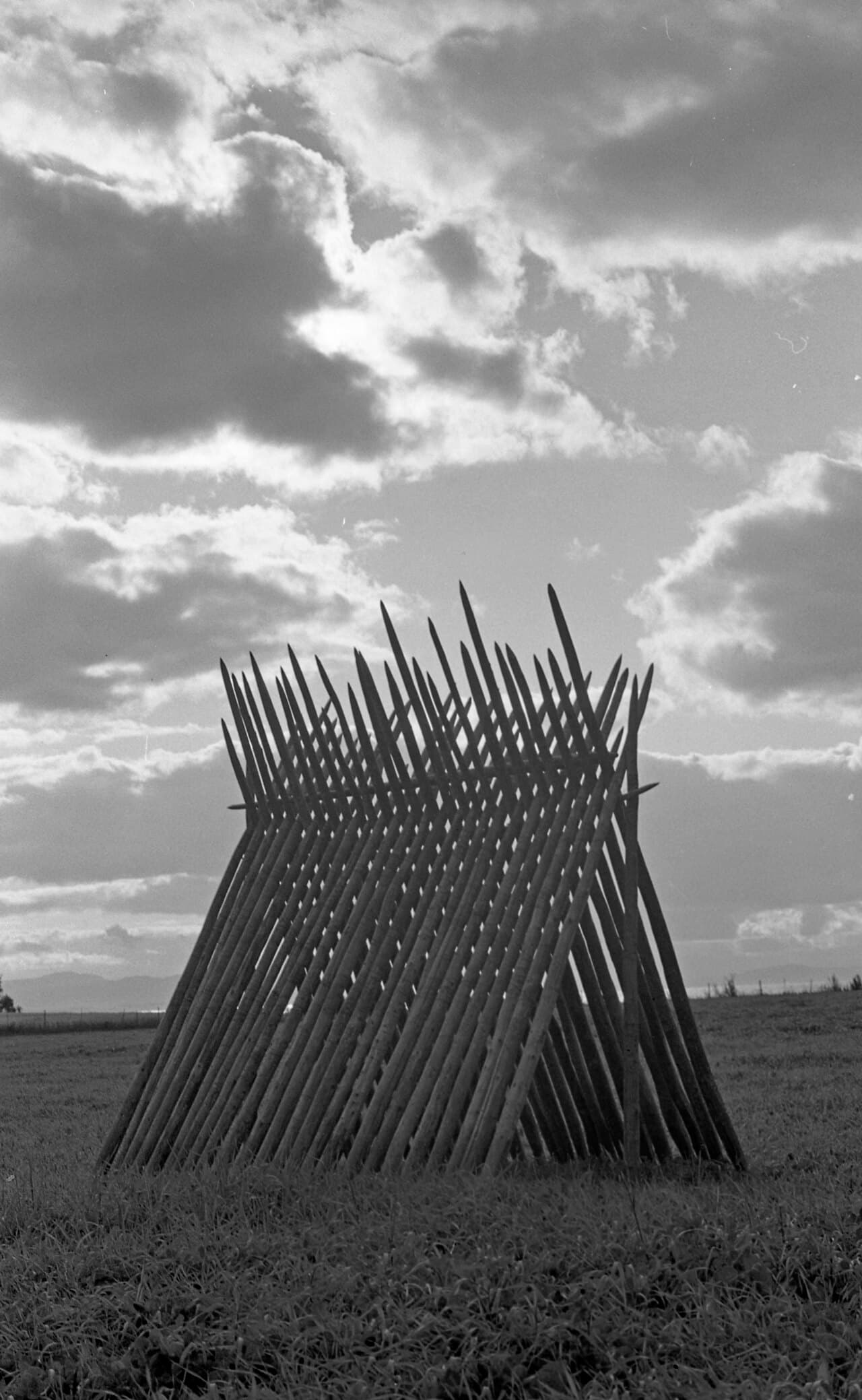 Landbrukslandskap i Trøndelag med hesjestaur